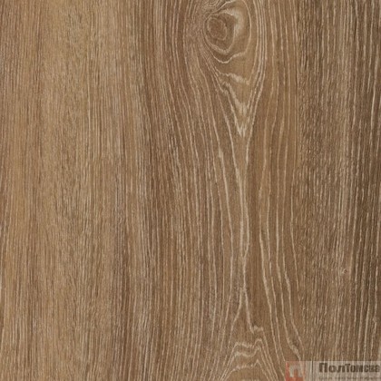 Ламинат Kastamonu Black FP45.2 Дуб Прайс