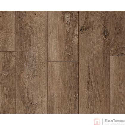 Ламинат SunFloor 8/33 4NV Дуб Берлин SF60